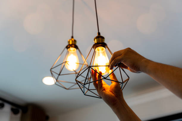 Best Electrician for Home Renovation  in Gardnerville, NV