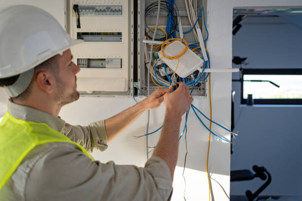 Best Affordable Electrician  in Gardnerville, NV